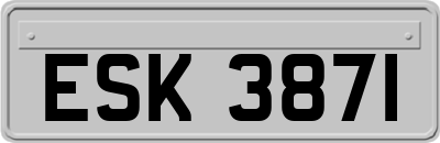 ESK3871