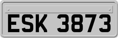 ESK3873