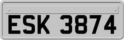 ESK3874