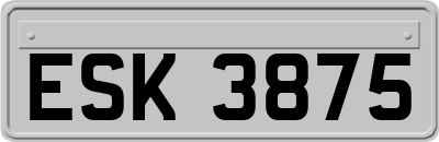 ESK3875