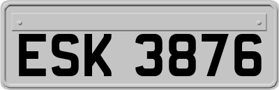 ESK3876