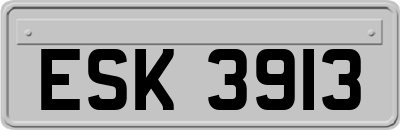 ESK3913