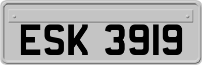 ESK3919