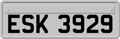 ESK3929