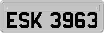 ESK3963