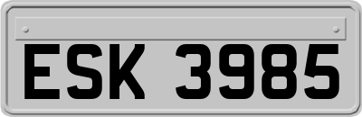 ESK3985