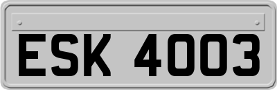 ESK4003