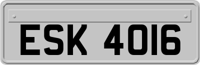 ESK4016