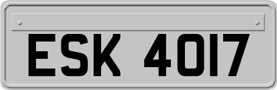ESK4017