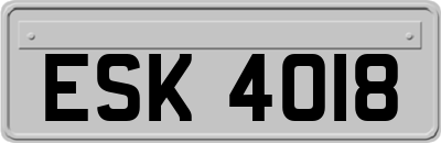 ESK4018