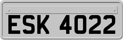ESK4022