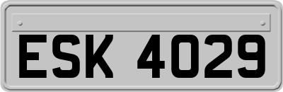 ESK4029