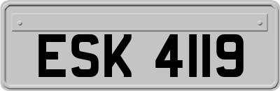 ESK4119