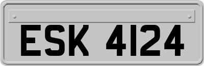 ESK4124