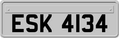 ESK4134