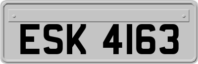 ESK4163