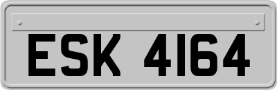 ESK4164