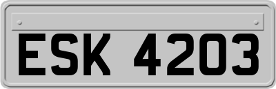 ESK4203