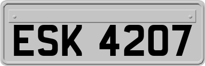 ESK4207