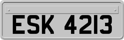 ESK4213