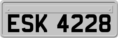 ESK4228