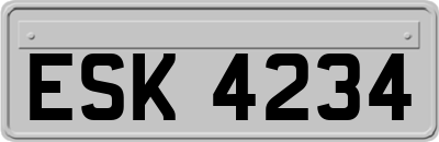 ESK4234