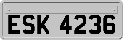 ESK4236