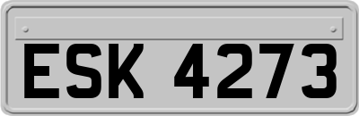 ESK4273