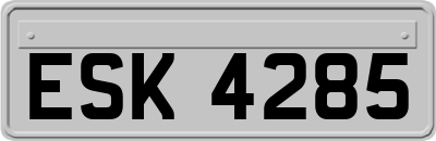 ESK4285