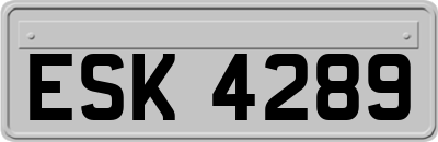 ESK4289