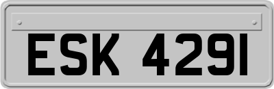 ESK4291