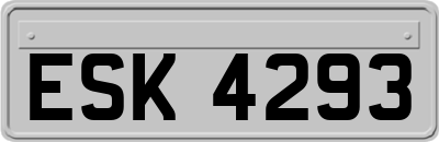 ESK4293