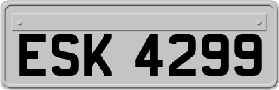 ESK4299