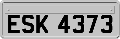 ESK4373