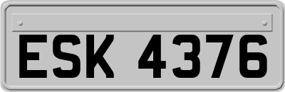 ESK4376
