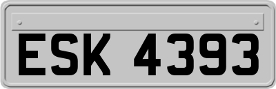 ESK4393