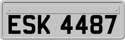 ESK4487