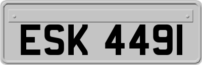 ESK4491