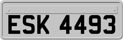 ESK4493