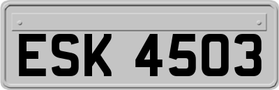 ESK4503