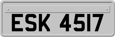 ESK4517