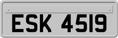 ESK4519