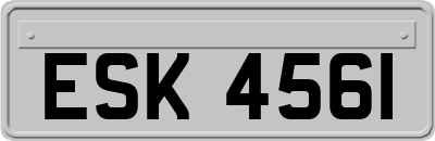 ESK4561