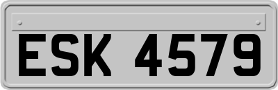ESK4579