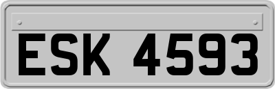 ESK4593