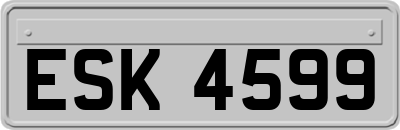 ESK4599