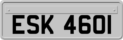 ESK4601