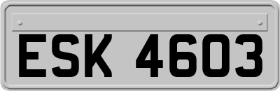 ESK4603
