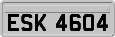 ESK4604