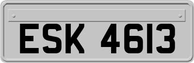 ESK4613